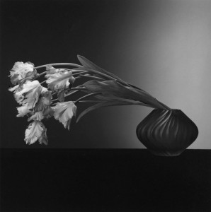 Copyright Robert Mapplethorpe / The Robert Mapplethorpe Foundation